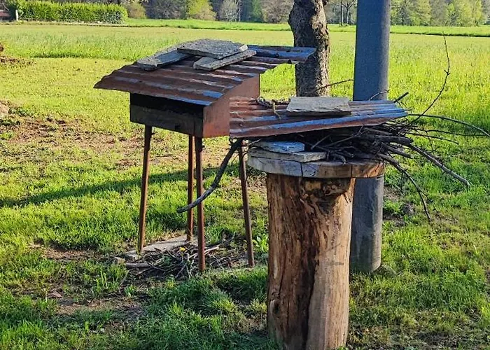 Casa Margherita Διαμέρισμα Borgo San Dalmazzo